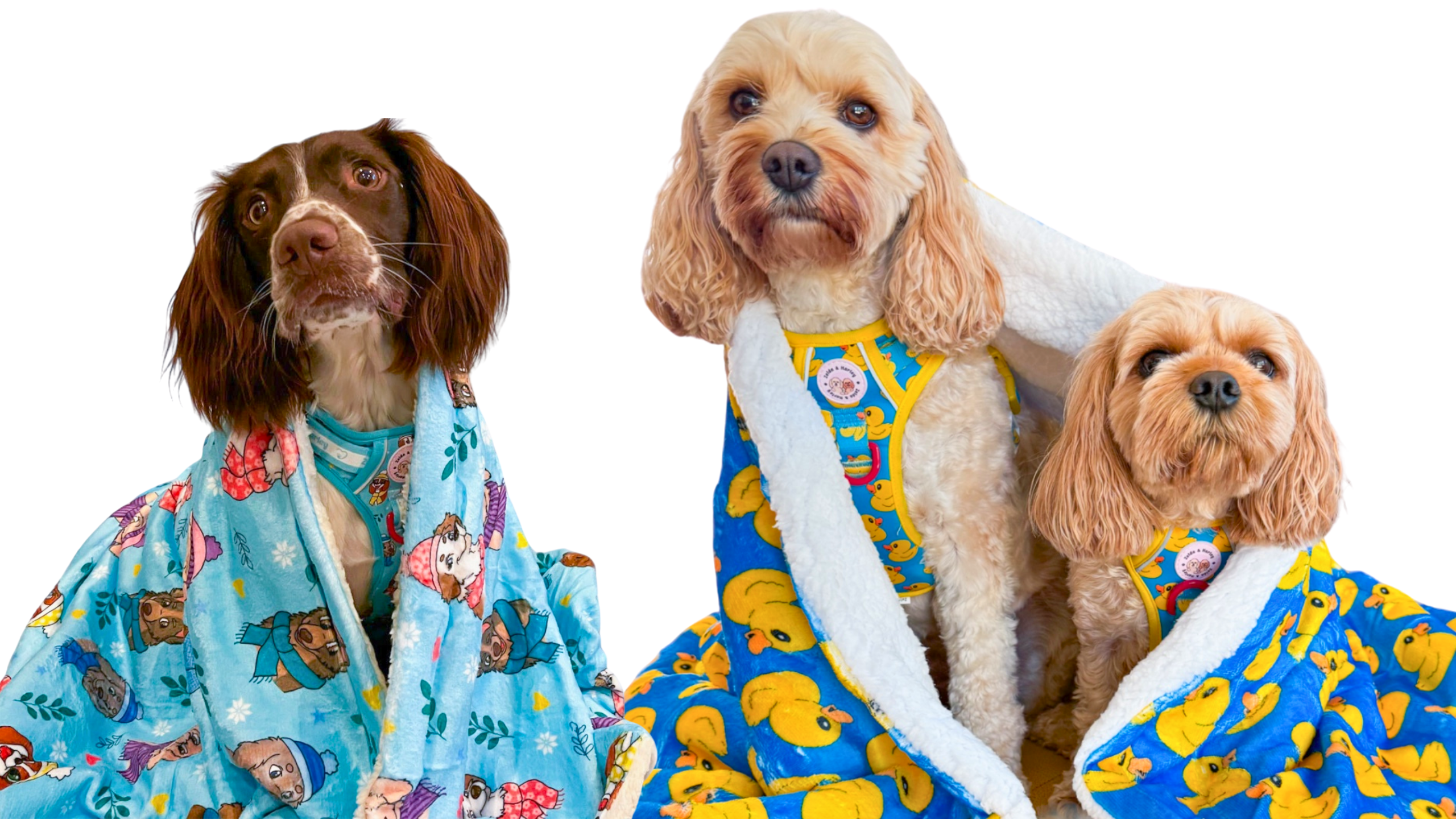 Lazy Day Dog Blankets – Zelda & Harley