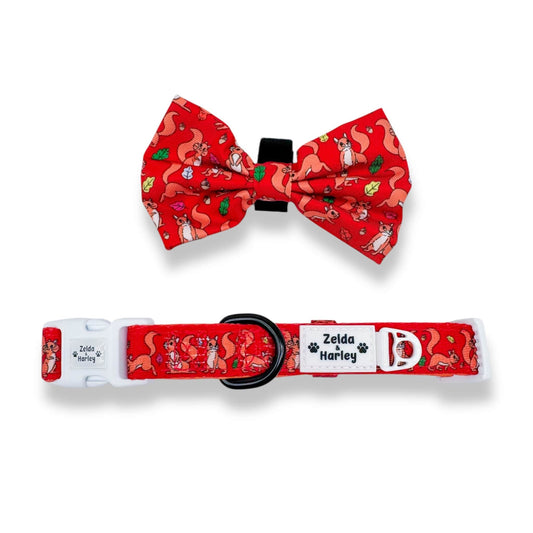 Zelda & Harley Collar Squirrel Collar + Bow Tie (Copy)