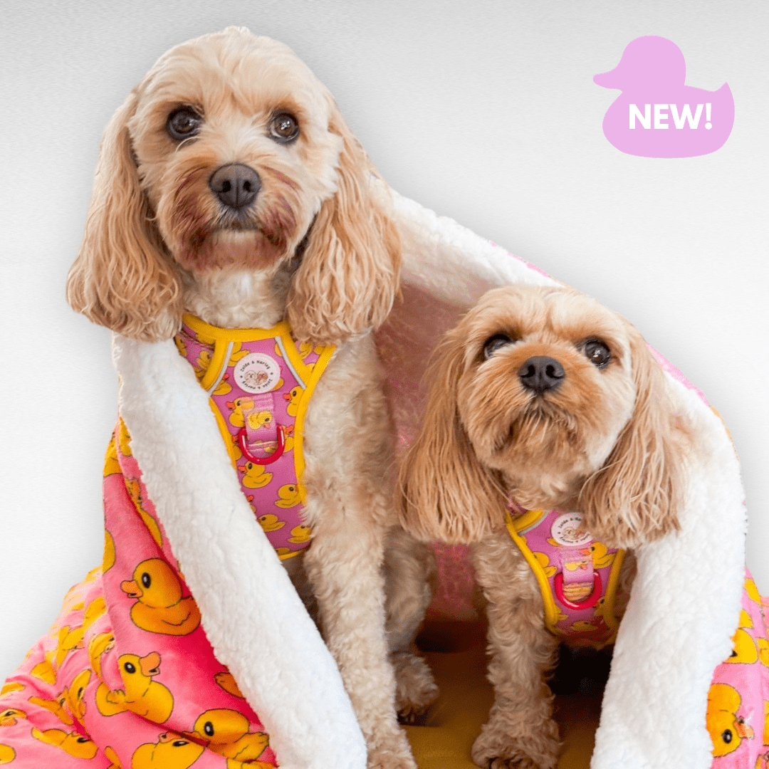 Zelda & Harley Dog Blanket Rubber Duckie Pink Dog Blanket