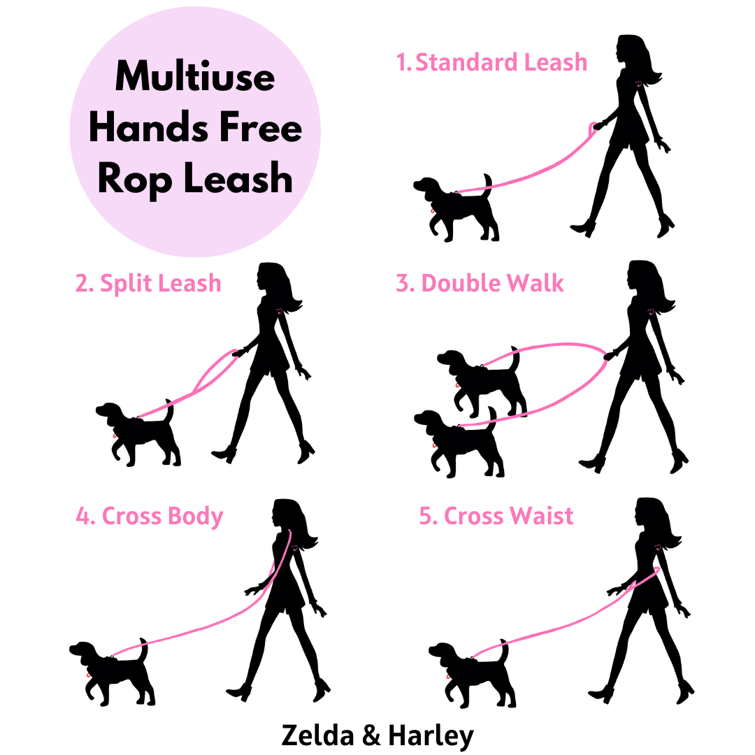 Zelda & Harley Hands Free Rope Leash Hands Free Rope Lead - Sky Blue