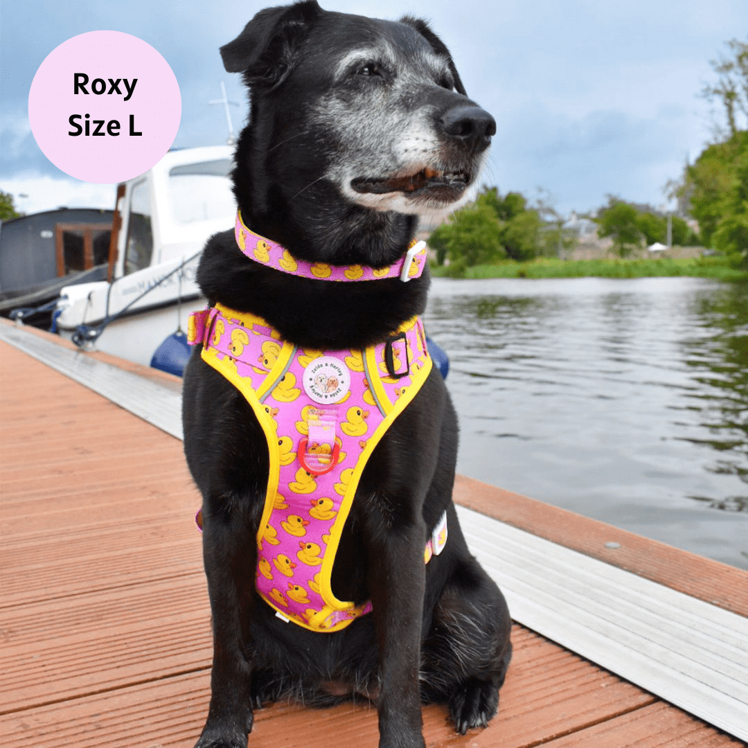 Zelda & Harley Harness Rubber Duckie Pink - Adventure No Pull Harness