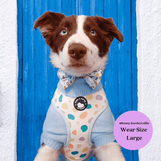 Zelda and Harley Harness Pastel Showers Reversible Harness