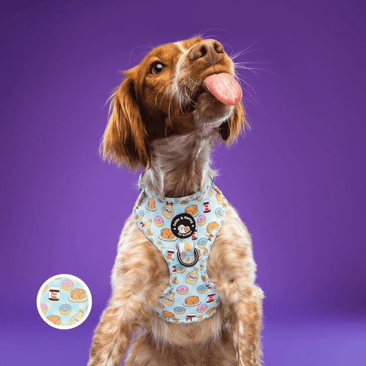 Zelda & Harley Harness Barking Brunch - D-Ring Adjustable Dog Harness