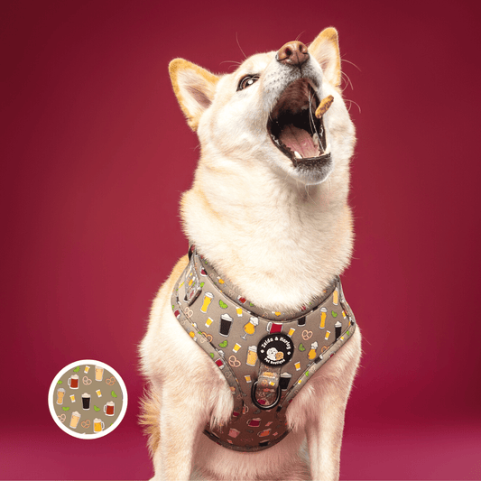 Zelda & Harley Harness Puptober Fest - D-Ring Adjustable Dog Harness