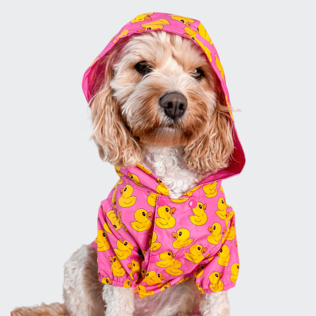 Zelda & Harley reversible dog raincoat