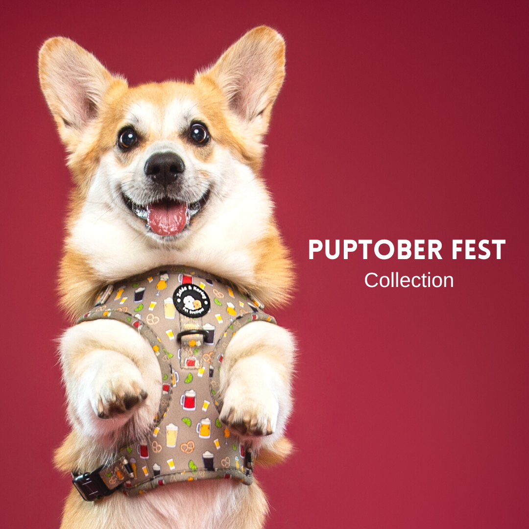 Puptober Fest