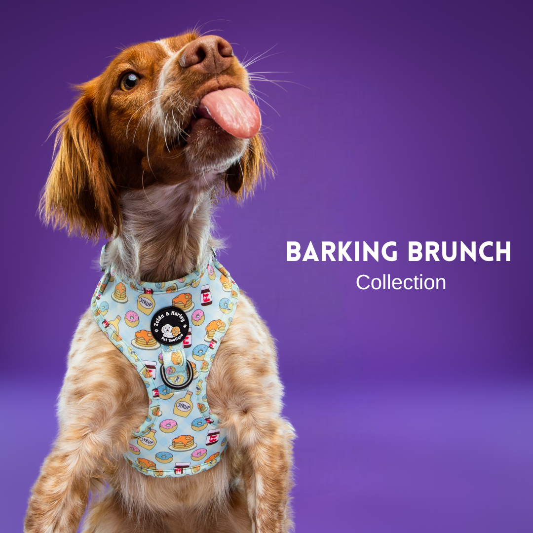 Barking Brunch