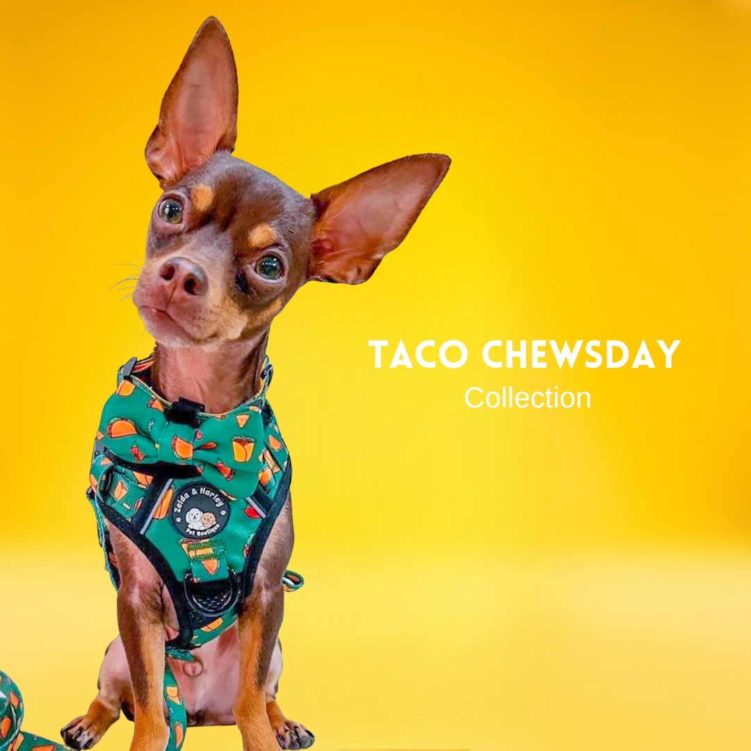 Taco Chewsday