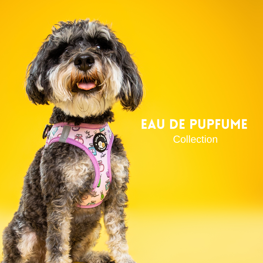 Eau de Pupfume