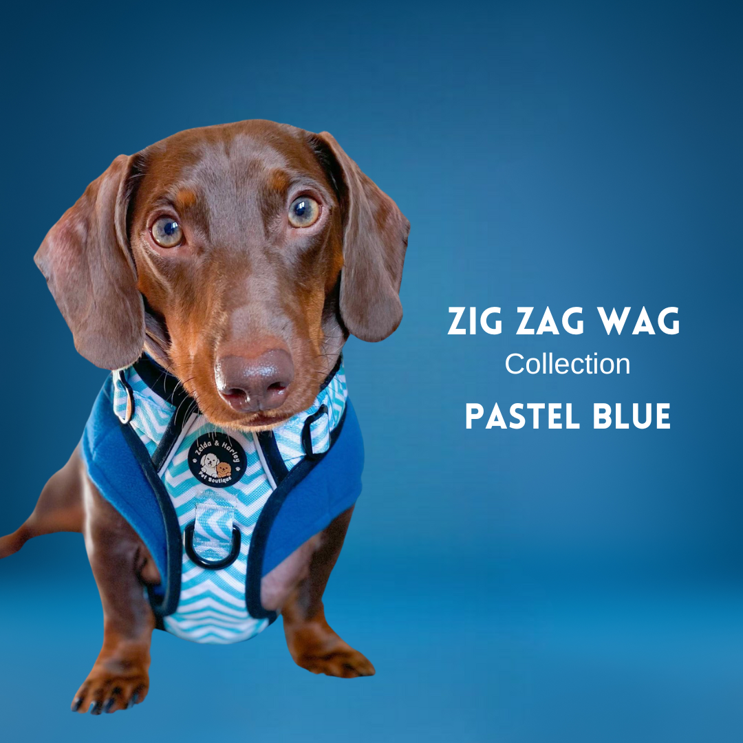 Zig Zag Wag - Pastel Blue