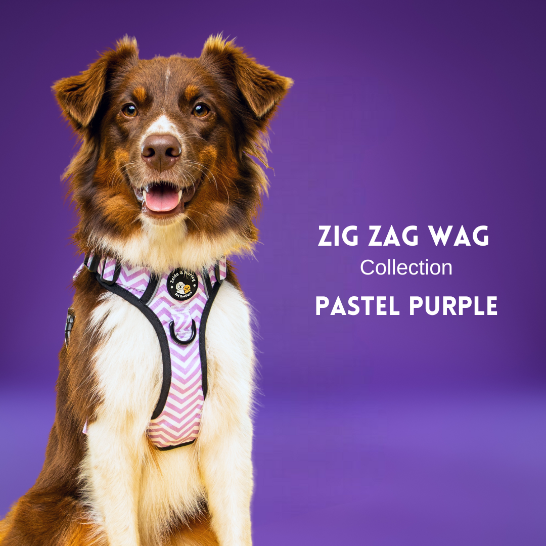 Zig Zag Wag - Pastel Purple