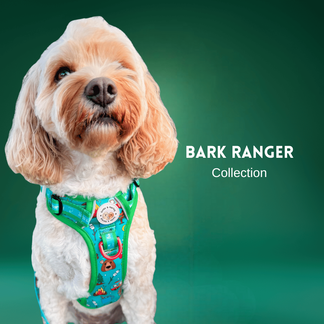Bark Ranger Collection – Zelda & Harley