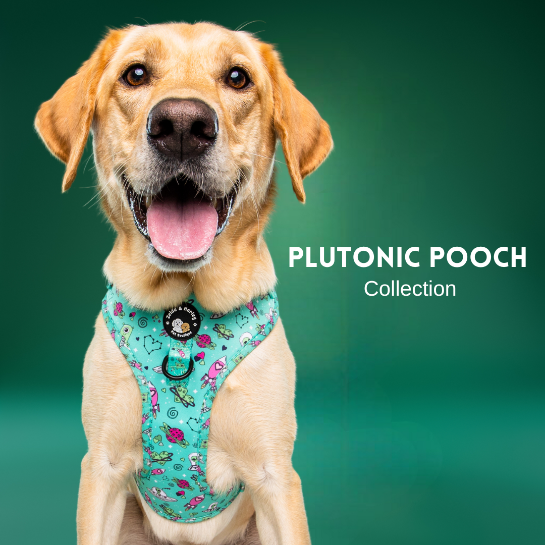 Plutonic Pooch