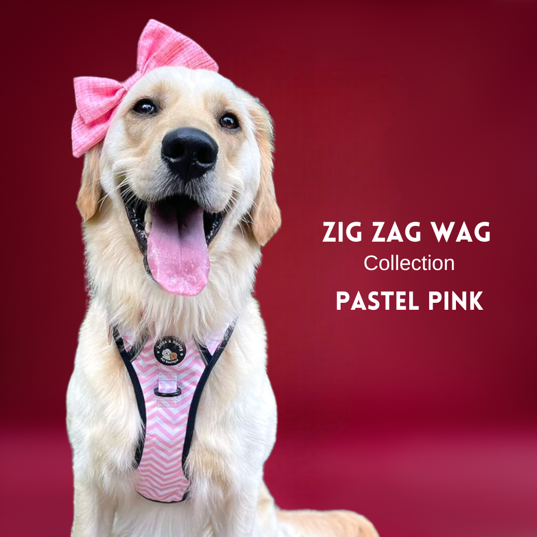 Zig Zag Wag - Pastel Pink