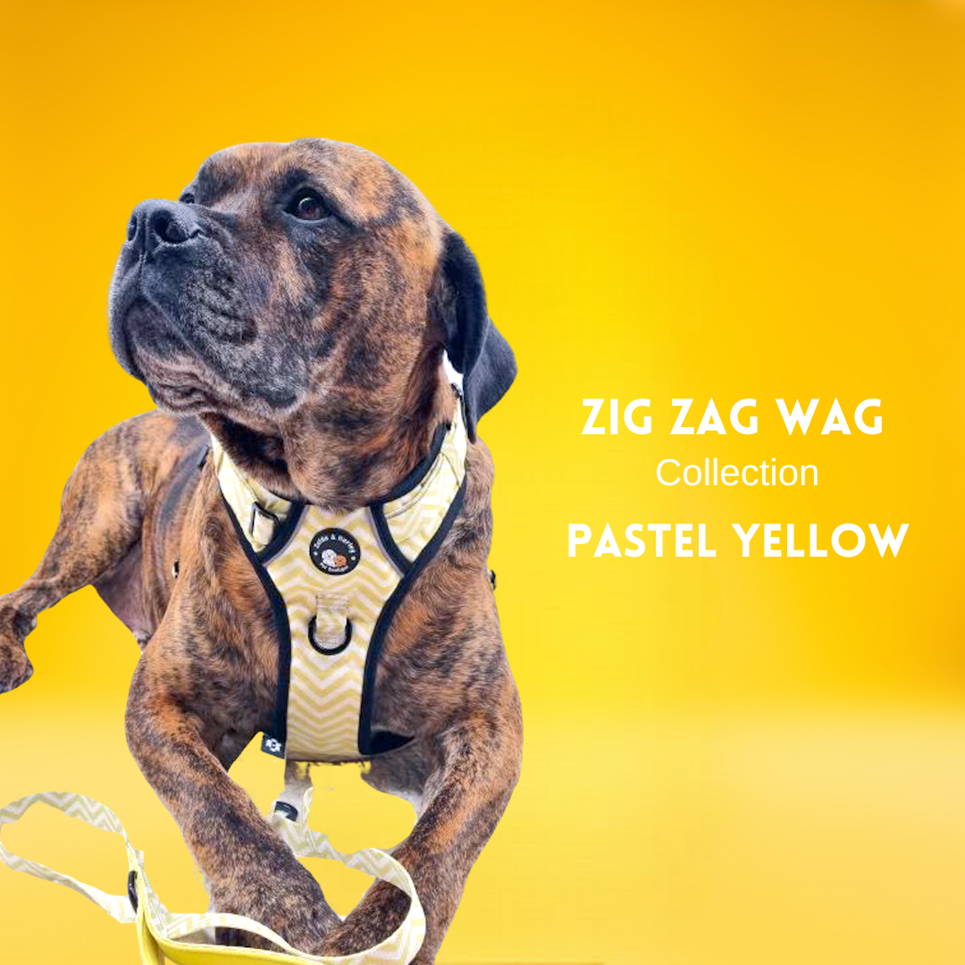 Zig Zag Wag - Pastel Yellow