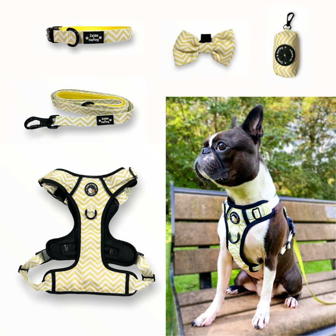 Build Your Own Bundle - Zig Zag Wag - Pastel Yellow