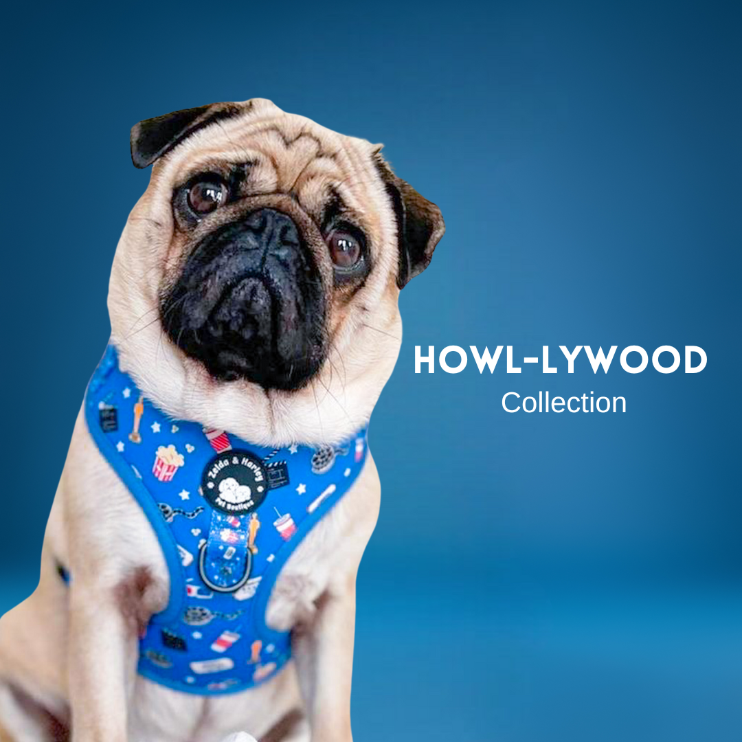 Howl-lywood