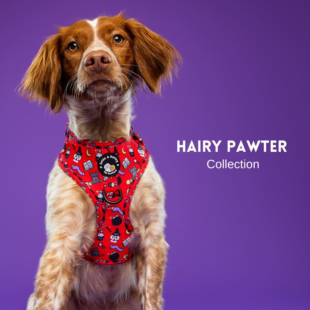 Hairy Pawter