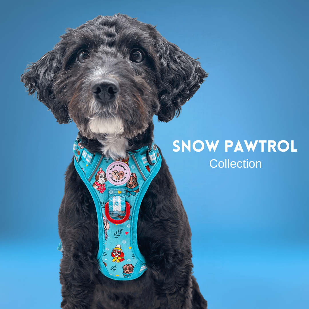 Snow Pawtrol