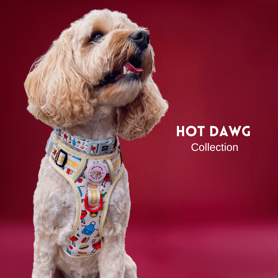 Hot Dawg