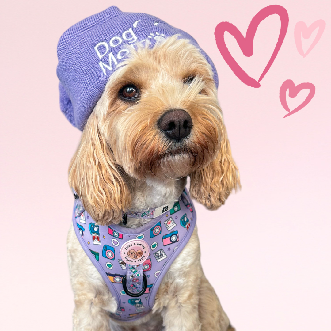 Valentine's Day Deal