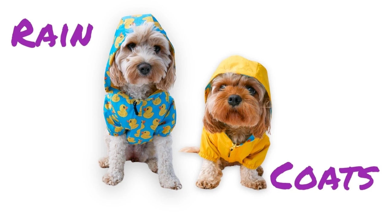 Reversible Raincoats