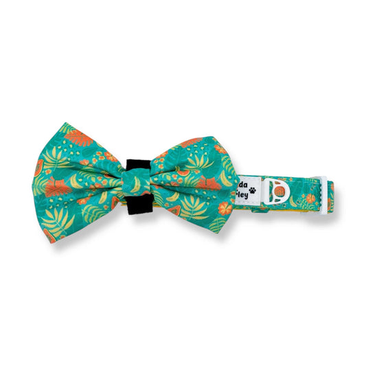 Zelda & Harley Collar Jungle Pawradise Collar + Bow Tie