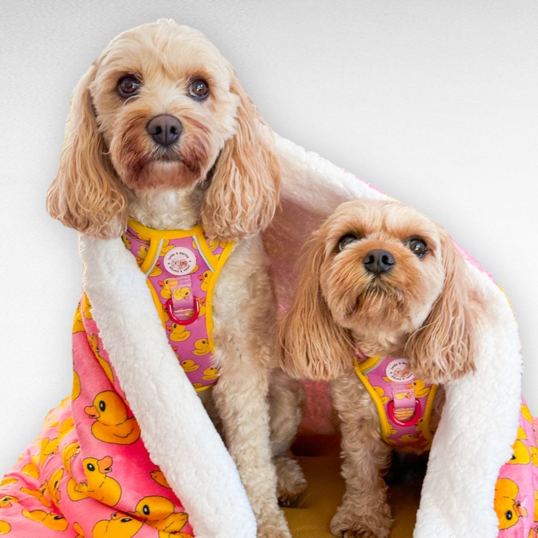 Zelda & Harley Dog Blanket Rubber Duckie Pink Dog Blanket