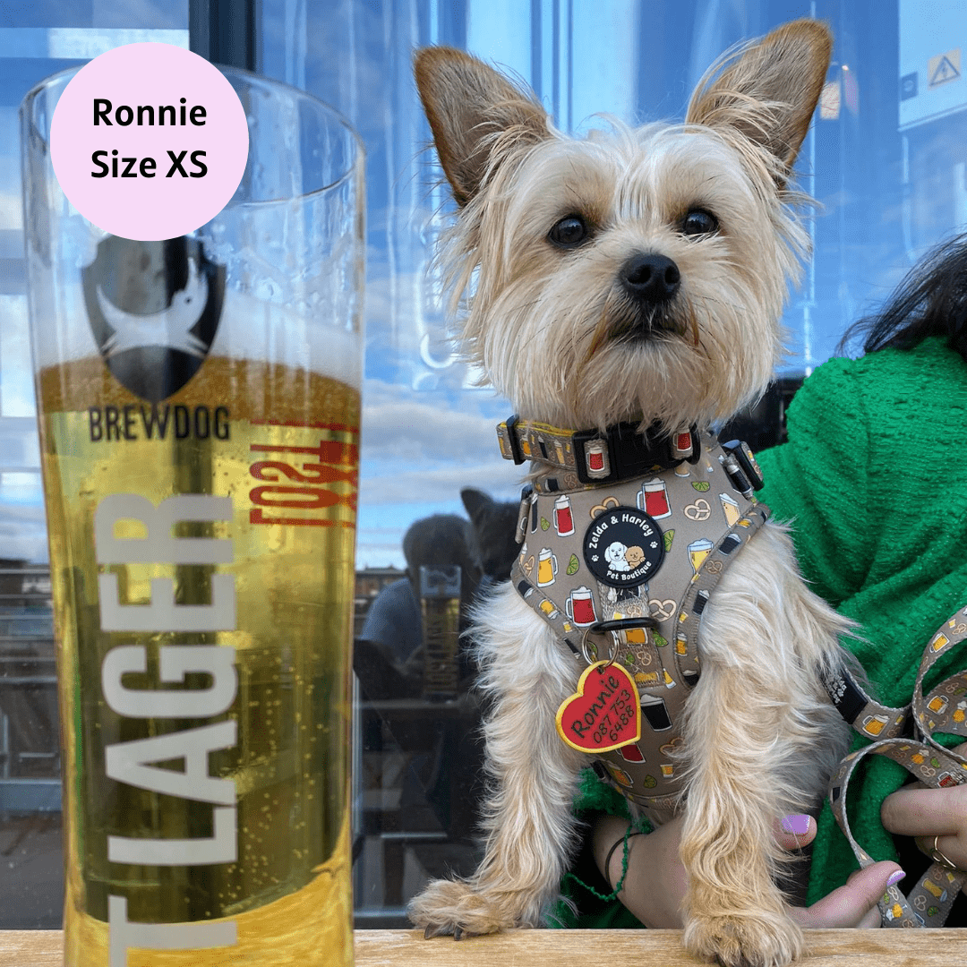 Zelda & Harley Harness Puptober Fest - No Pull Adjustable Dog Harness