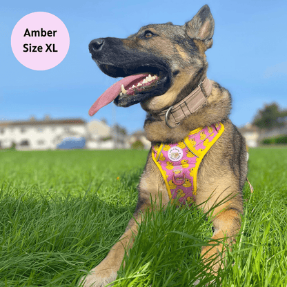 Zelda & Harley Harness Rubber Duckie Pink - Adventure No Pull Harness
