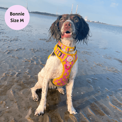 Zelda & Harley Harness Rubber Duckie Pink - Adventure No Pull Harness