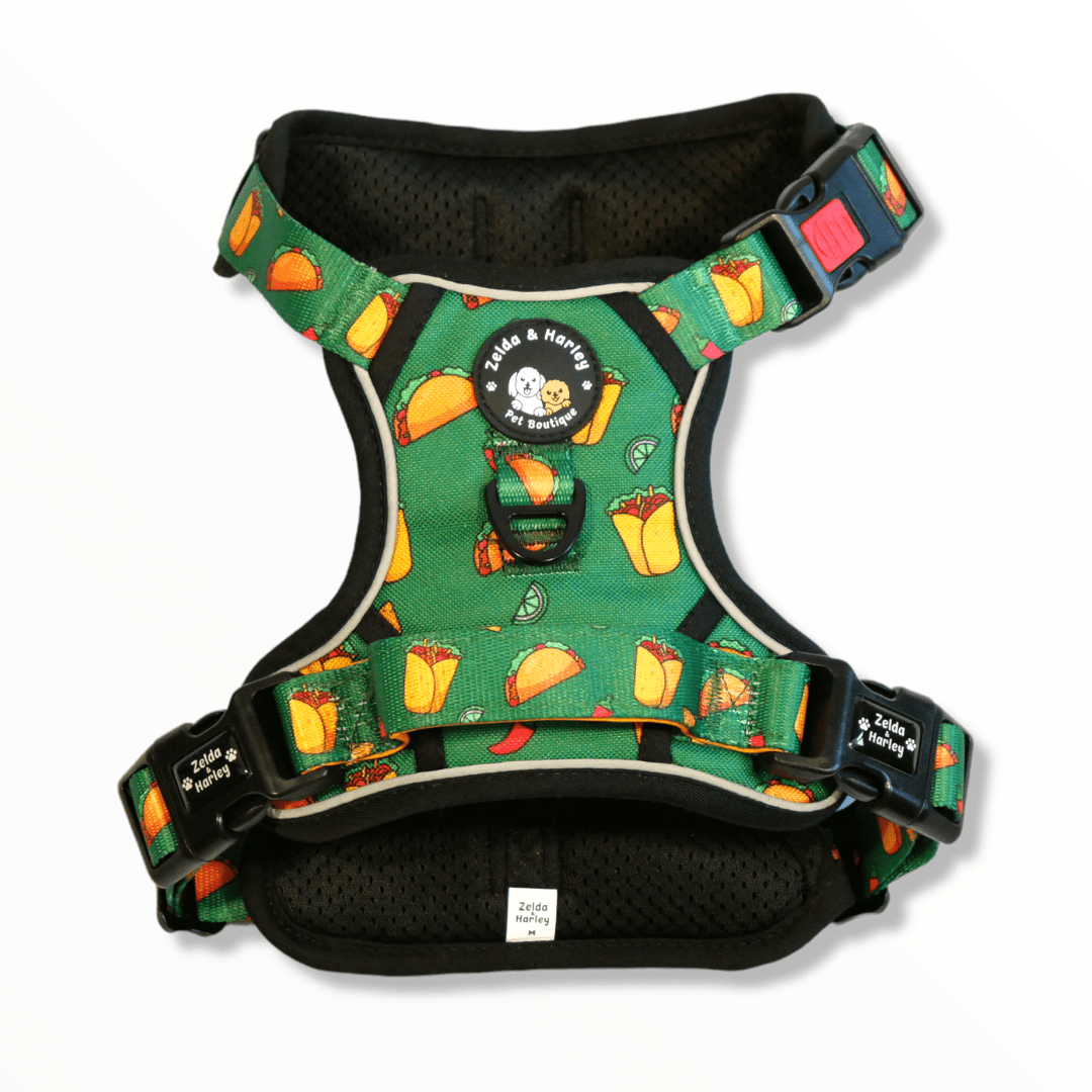 Zelda & Harley Harness Taco Chewsday - Adventure Harness