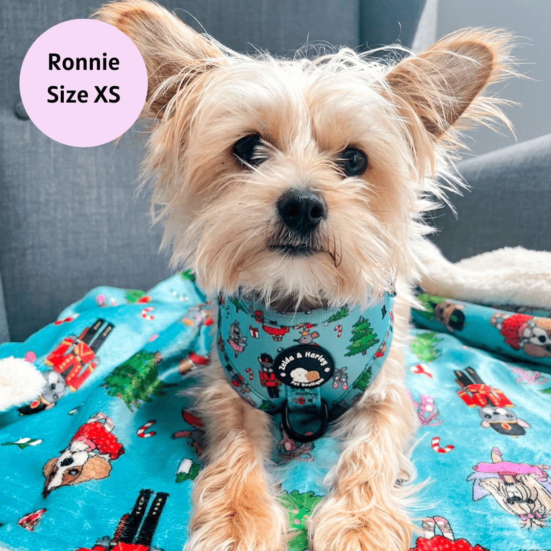 Zelda & Harley Harness The Muttcracker - No Pull Adjustable Dog Harness