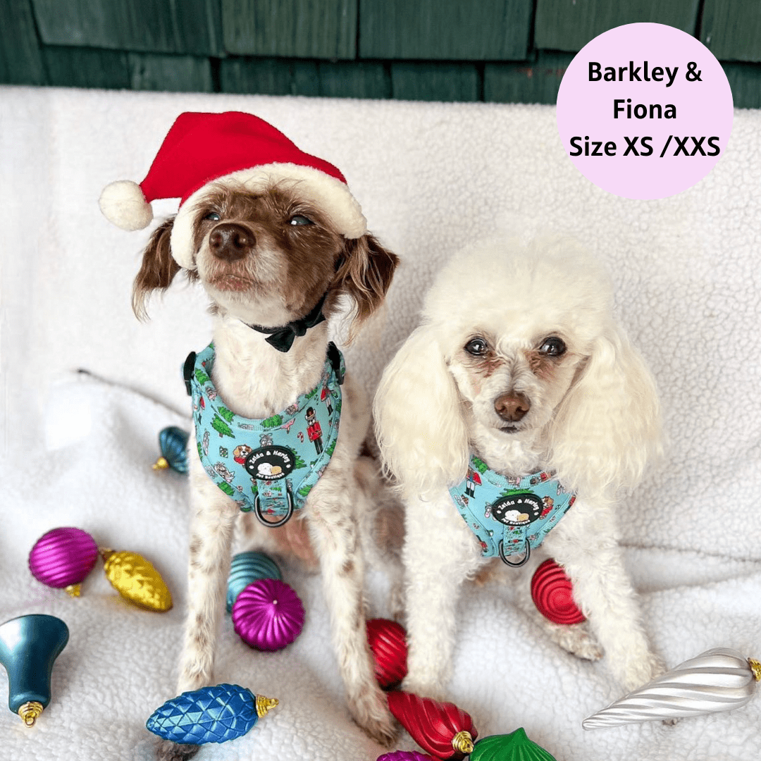 Zelda & Harley Harness The Muttcracker - No Pull Adjustable Dog Harness