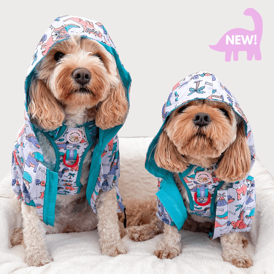 Zelda & Harley Raincoat Doggosaurus Rex Reversible Raincoat