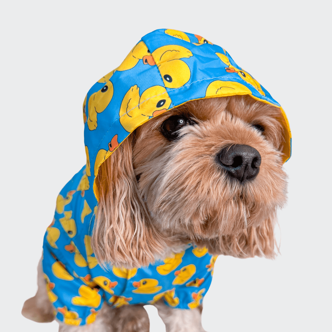 Zelda & Harley Raincoat Rubber Duckie Reversible Raincoat - Blue