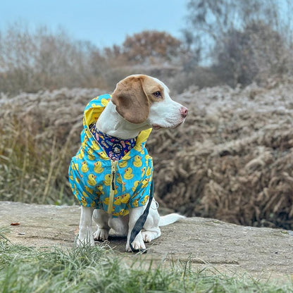 Zelda & Harley Raincoat Rubber Duckie Reversible Raincoat - Blue