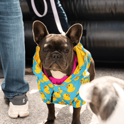 Zelda & Harley Raincoat Rubber Duckie Reversible Raincoat - Blue