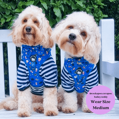 Zelda and Harley Harness Howl-lywood - D-Ring Adjustable Dog Harness