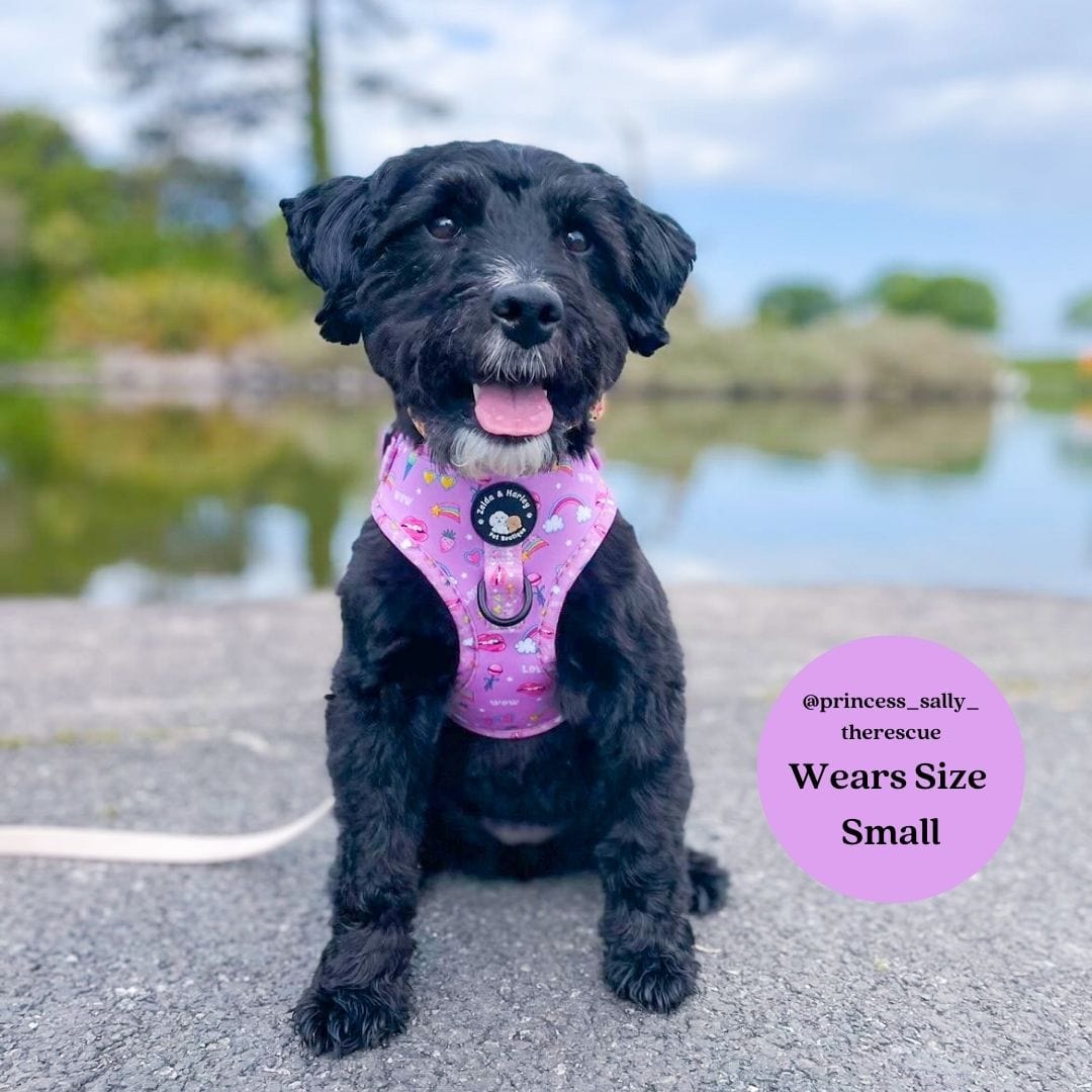 Zelda and Harley Harness Pink Paw-er - D-Ring Adjustable Dog Harness