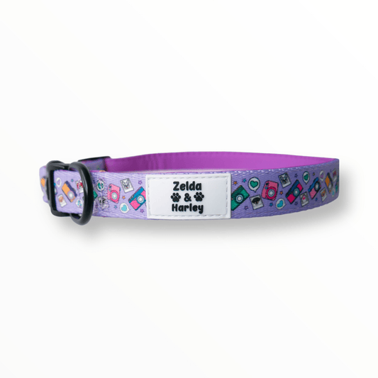 Zelda & Harley Collar Puparazzi Collar