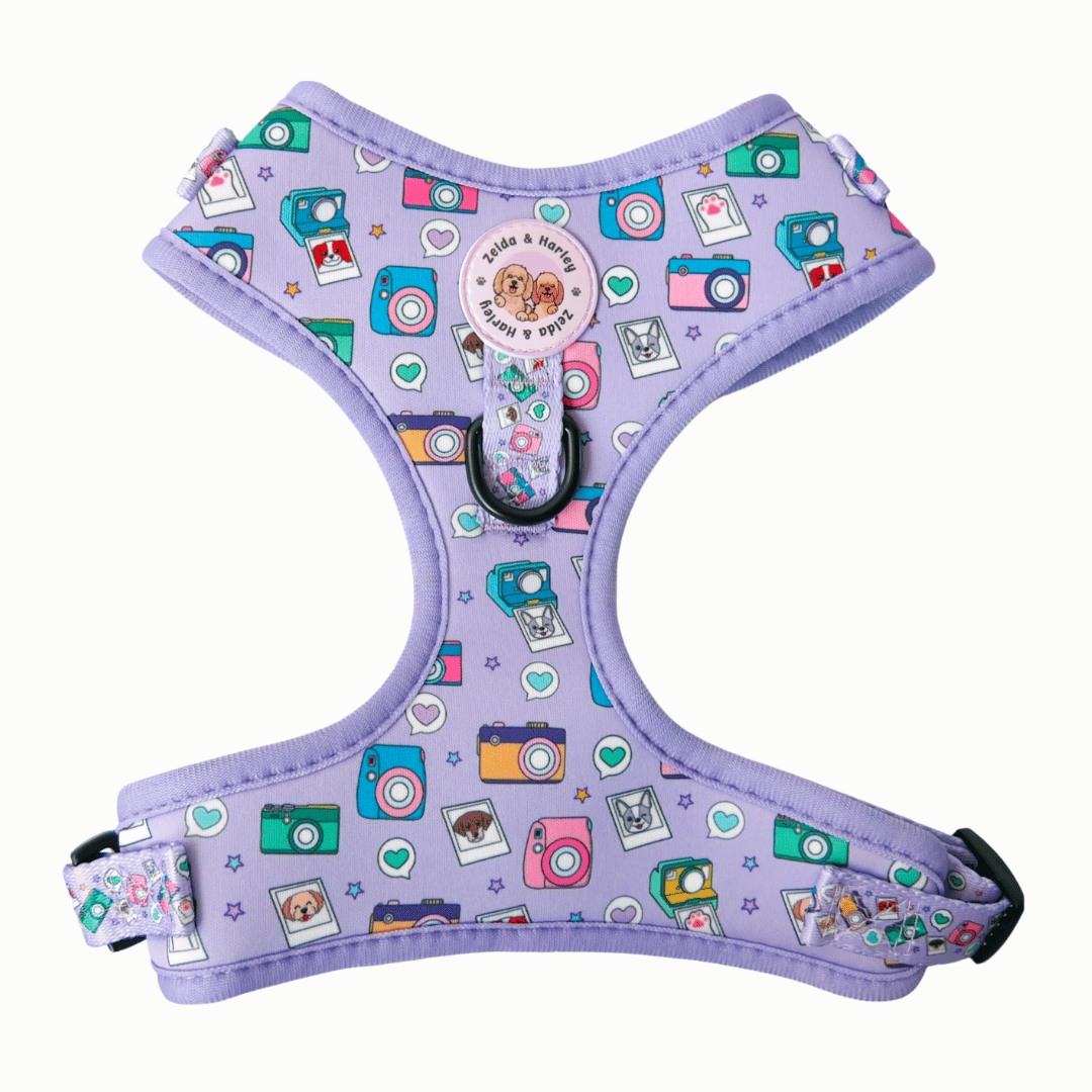 Zelda & Harley Harness Puparazzi - No Pull Adjustable Dog Harness