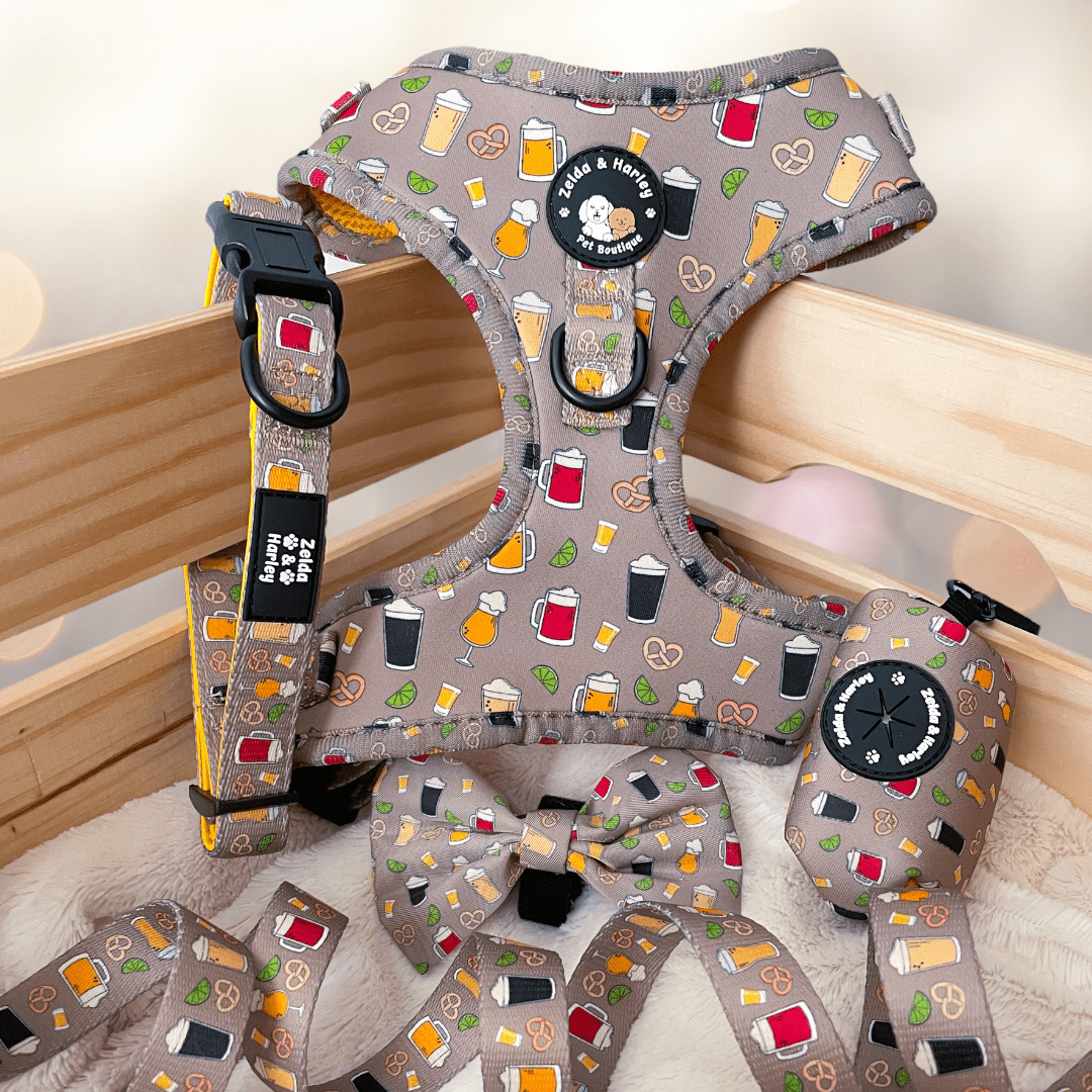Zelda & Harley Harness Puptober Fest - D-Ring Adjustable Dog Harness