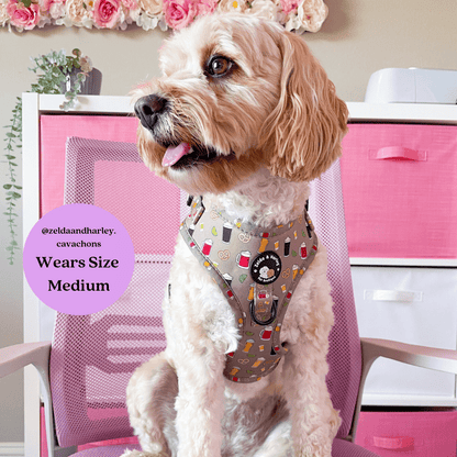 Zelda & Harley Harness Puptober Fest - No Pull Adjustable Dog Harness