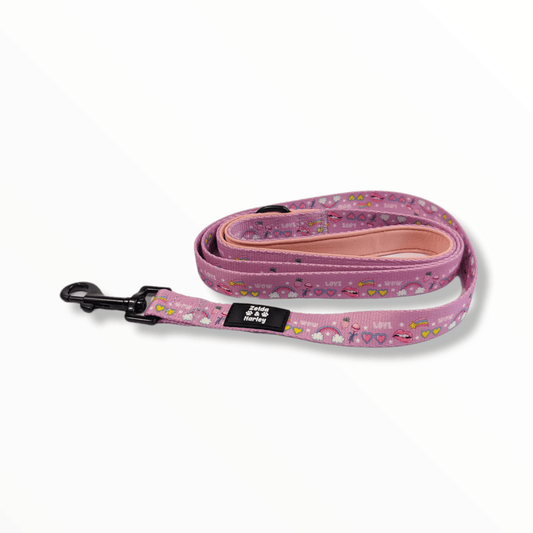 Zelda & Harley Lead Pink Paw-er Leash