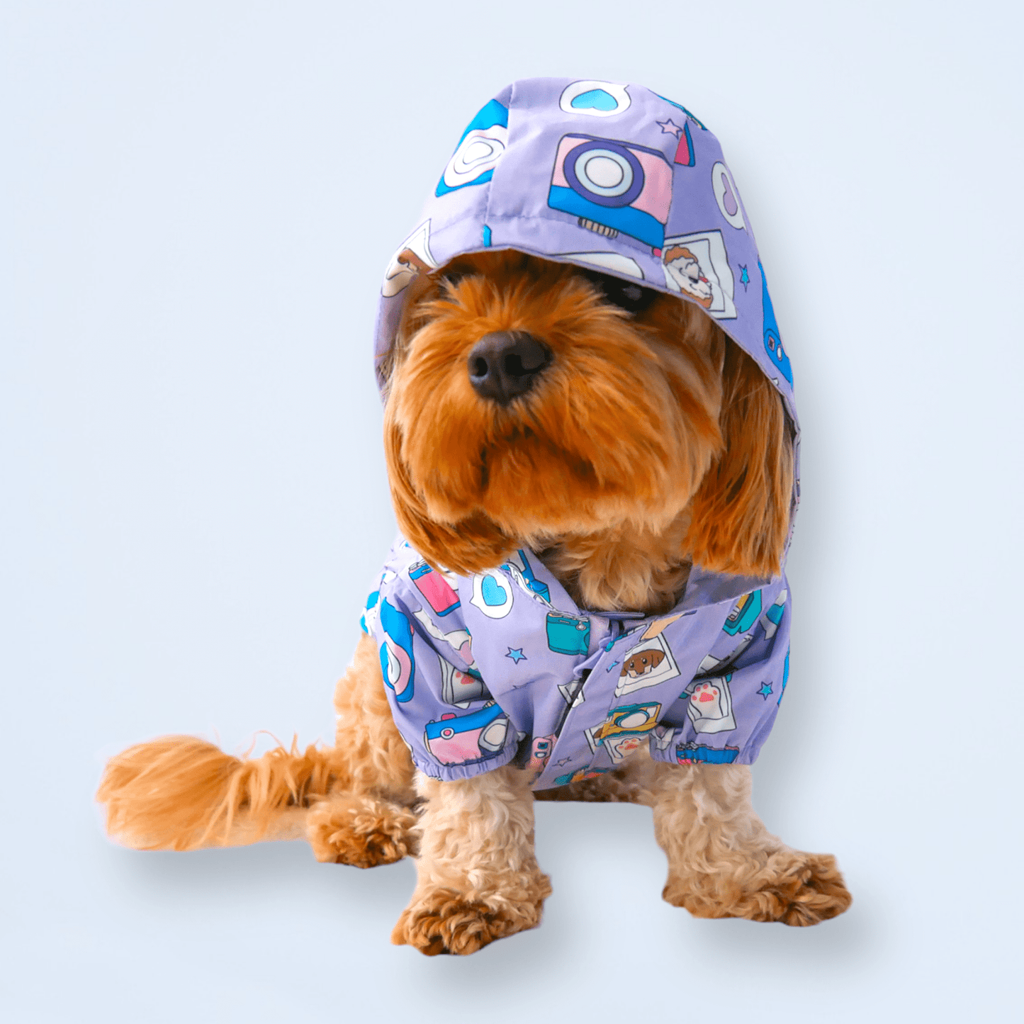 Zelda & Harley Raincoat Puparazzi Reversible Raincoat